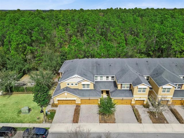 8226 SERENITY SPRING DRIVE 2402, Windermere, FL 34786