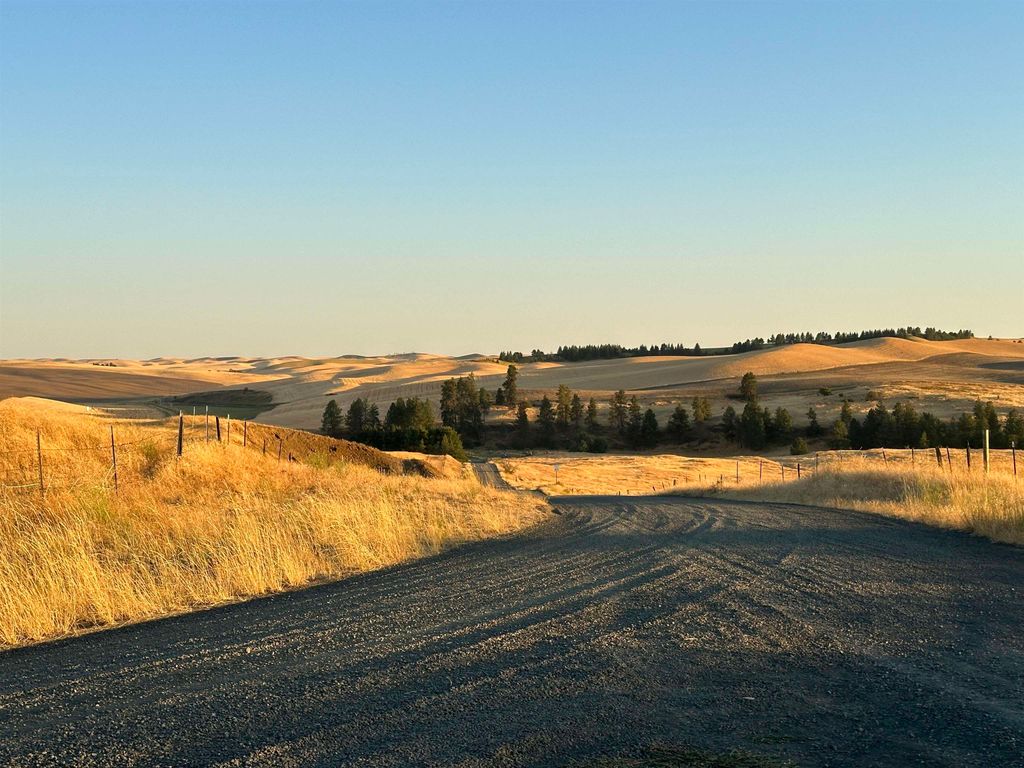 TBD SE Main St, Malden, WA 99149 photo 2