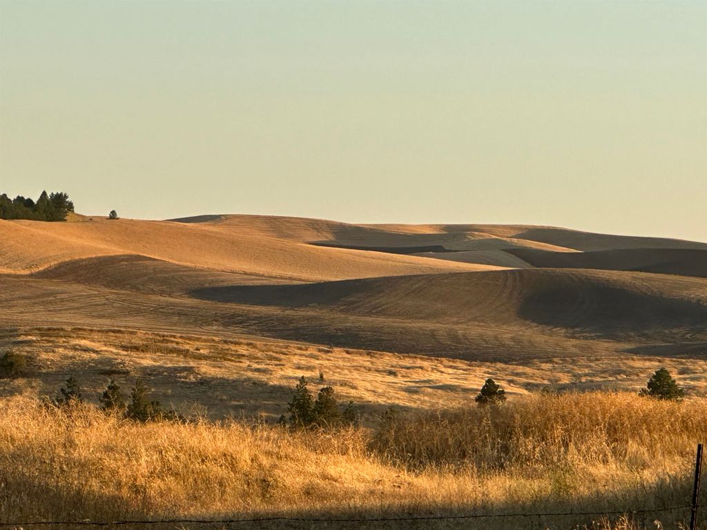 TBD SE Main St, Malden, WA 99149 photo 3