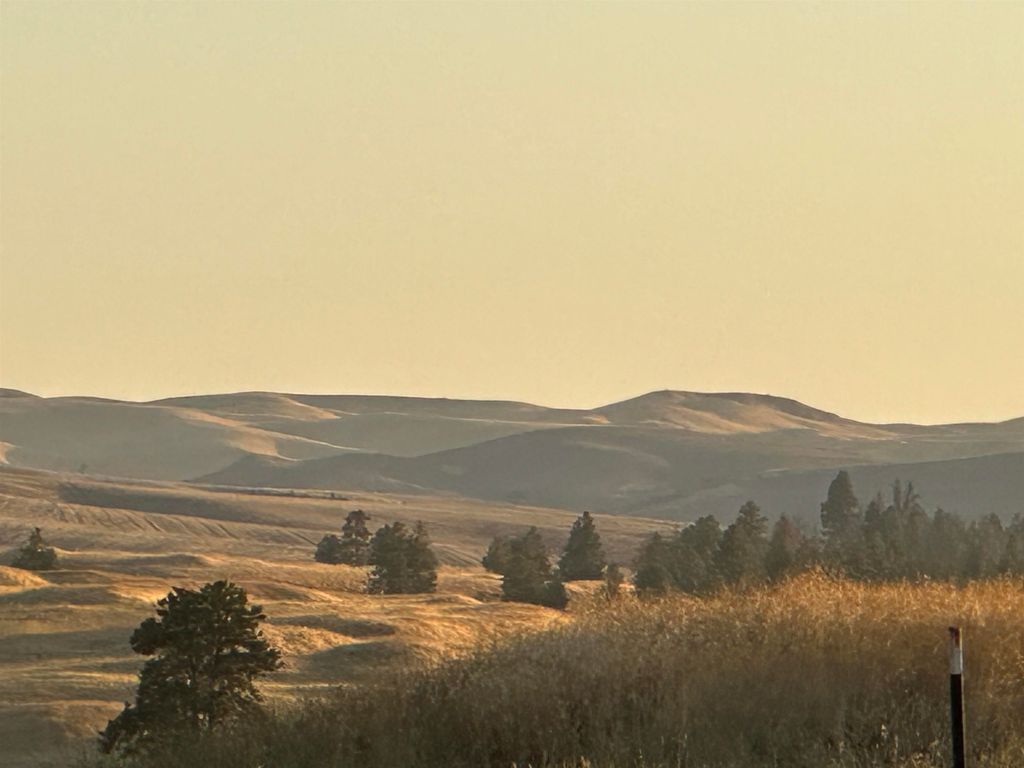 TBD SE Main St, Malden, WA 99149 photo 4