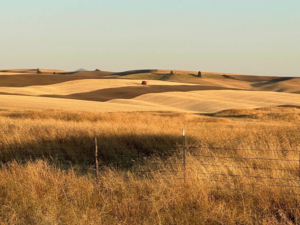 TBD SE Main St, Malden, WA 99149 photo 5