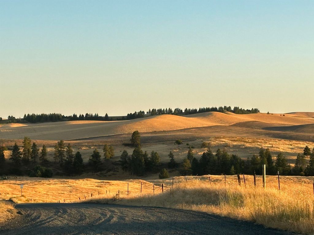 TBD SE Main St, Malden, WA 99149 photo 6