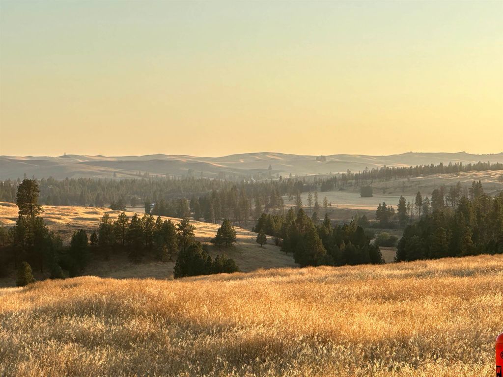 TBD SE Main St, Malden, WA 99149 photo 7