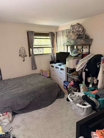 319 New Rd, Montague Twp., NJ 07827