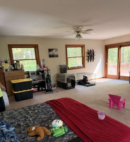 319 New Rd, Montague Twp., NJ 07827