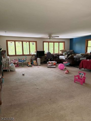 319 New Rd, Montague Twp., NJ 07827