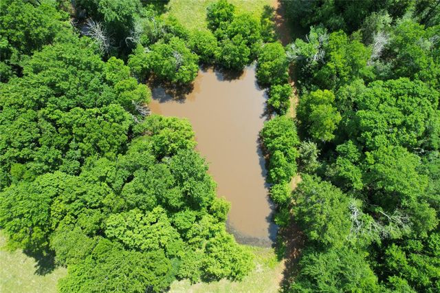 535 County Road 1710, Grapeland, TX 75844