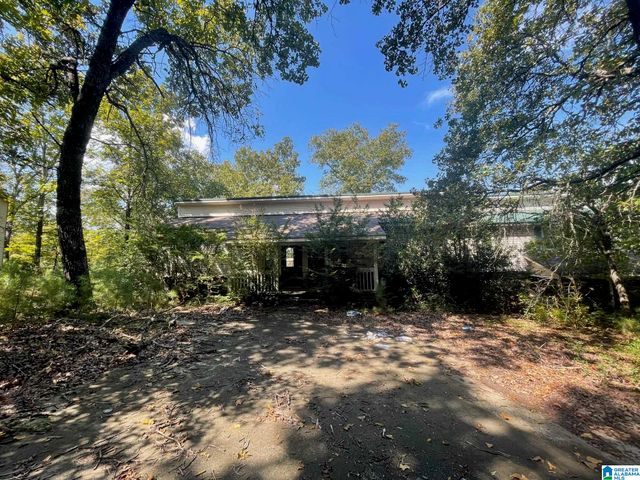 600 AQUARIUS DRIVE, Alpine, AL 35014