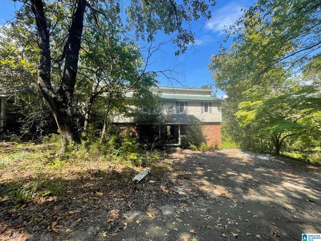 600 AQUARIUS DRIVE, Alpine, AL 35014