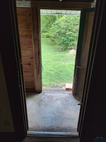 51 Conner St., Avinger, TX 75630