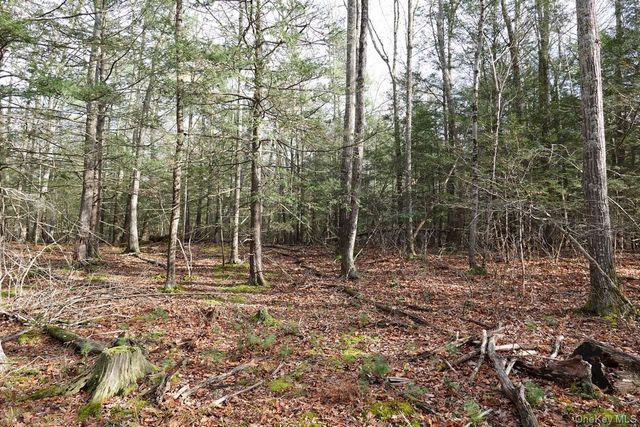 738 Manorville Road, Saugerties, NY 12477