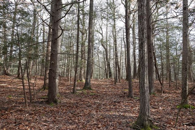 738 Manorville Road, Saugerties, NY 12477