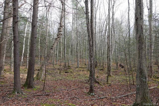 738 Manorville Road, Saugerties, NY 12477