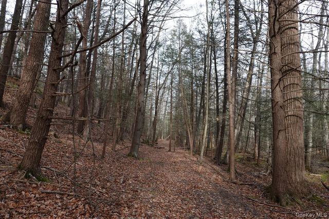 738 Manorville Road, Saugerties, NY 12477