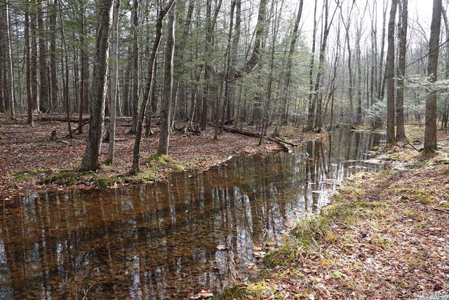 738 Manorville Road, Saugerties, NY 12477