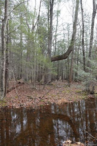 738 Manorville Road, Saugerties, NY 12477