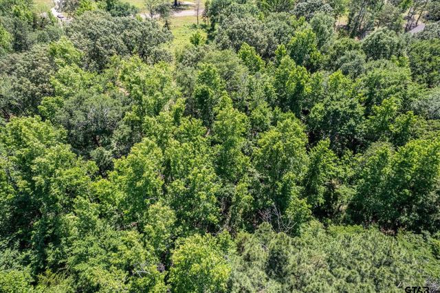 23874 FM 1995, Lindale, TX 75771