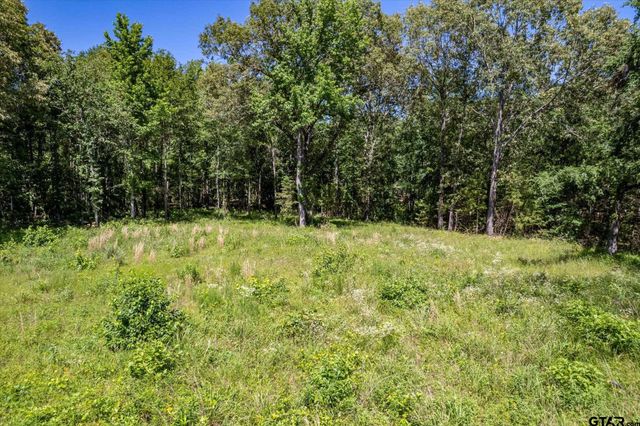23874 FM 1995, Lindale, TX 75771