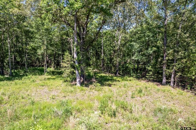 23874 FM 1995, Lindale, TX 75771