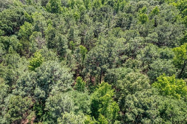 23874 FM 1995, Lindale, TX 75771