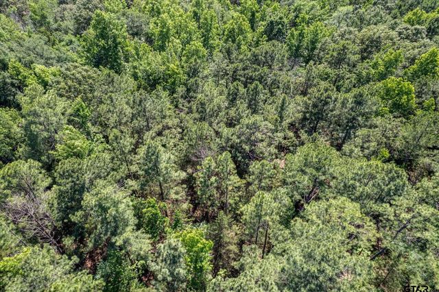 23874 FM 1995, Lindale, TX 75771