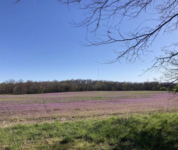 TRACT 3 E SUGAR GROVE RD, Columbia, MO 65201