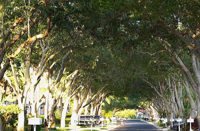 8088 Vía Di Veneto, Boca Raton, FL 33496