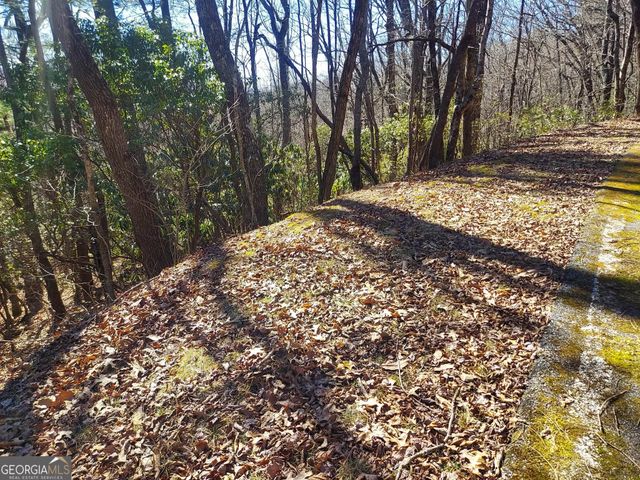 0 LOT 41 Pipetrack Gap Road, Scaly Mtn, NC 28775