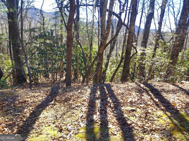 0 LOT 41 Pipetrack Gap Road, Scaly Mtn, NC 28775