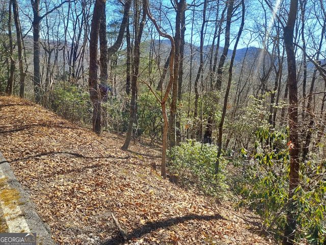 0 LOT 41 Pipetrack Gap Road, Scaly Mtn, NC 28775