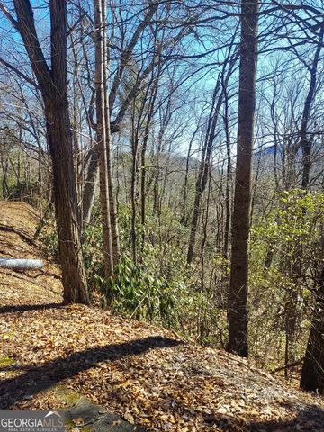 0 LOT 41 Pipetrack Gap Road, Scaly Mtn, NC 28775
