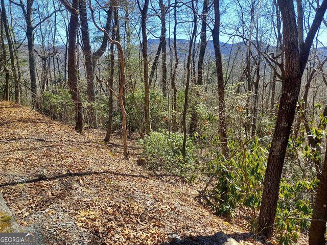 0 LOT 41 Pipetrack Gap Road, Scaly Mtn, NC 28775