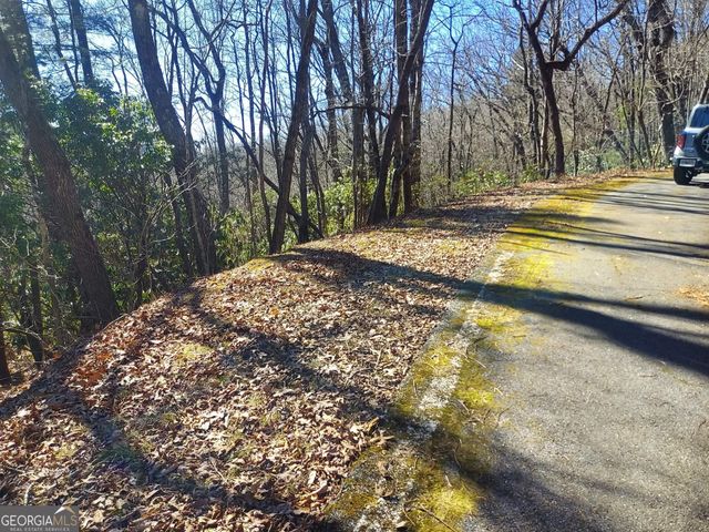 0 LOT 41 Pipetrack Gap Road, Scaly Mtn, NC 28775