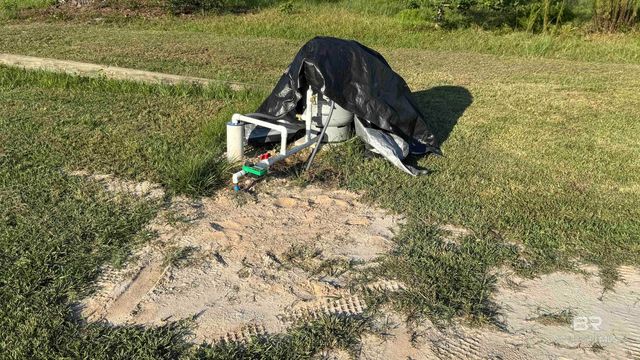 30710 Carrel Lane, Elberta, AL 36530