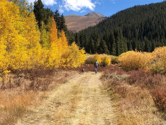 2443 Empire Valley Drive, Leadville, CO 80461