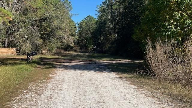 lot 24 Clark Road, Plantersville, TX 77363