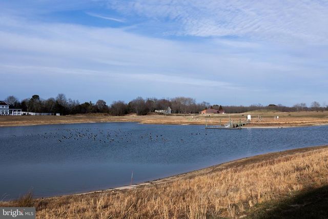 20141 RIESLING, Lewes, DE 19958