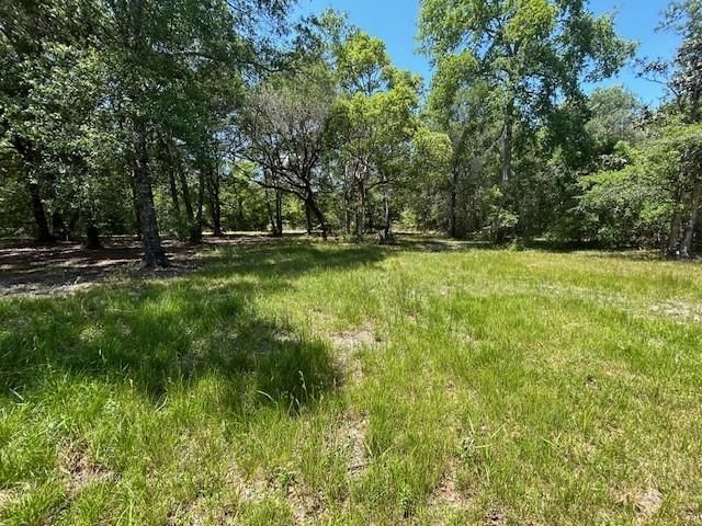 9860 Dauphin Island Parkway, Theodore, AL 36582
