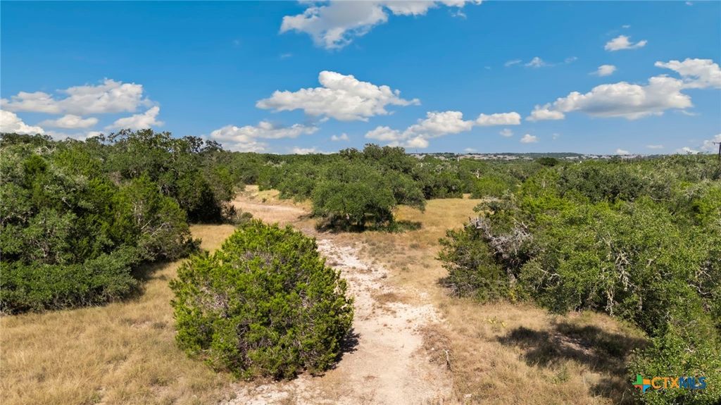 1732 Herbelin Road, New Braunfels, TX 78132