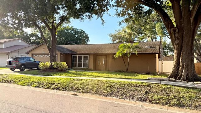 15420 BRUSHWOOD DRIVE, Tampa, FL 33624