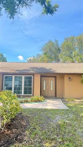 15420 BRUSHWOOD DRIVE, Tampa, FL 33624