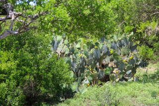 0000 FM 1343, Castroville, TX 78009