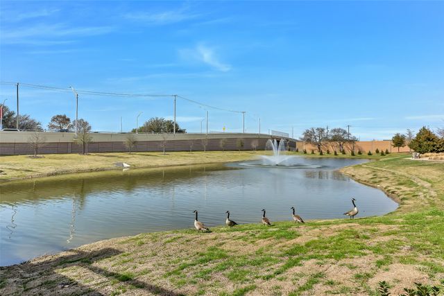 17642 Plumeria Lane, Dallas, TX 75252