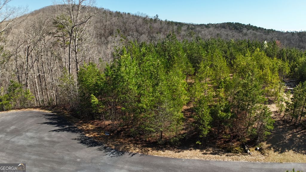 0 Olde Rockhouse Lane, Demorest, GA 30535 — exterior