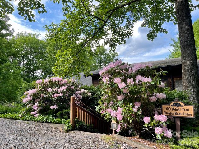 40 Adohi Trail, Maggie Valley, NC 28751