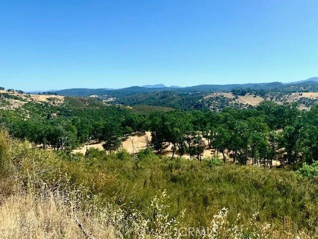 10455 Sky High Ridge, Lower Lake, CA 95457