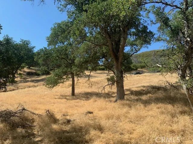 10455 Sky High Ridge, Lower Lake, CA 95457