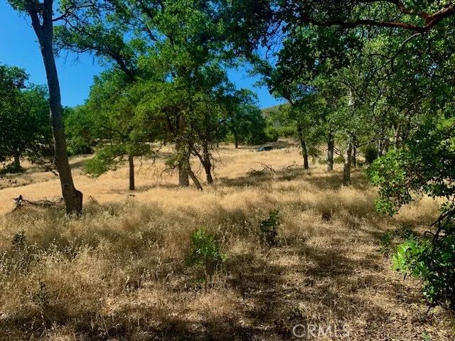 10455 Sky High Ridge, Lower Lake, CA 95457