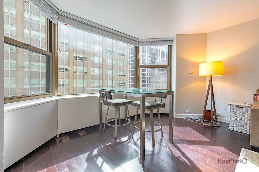 535 N Michigan Avenue 2003, Chicago, IL 60611 — photo 4