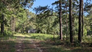 3948 Dogwood Trail, Navasota, TX 77868